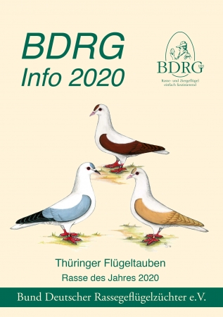 BDRG-Info 2020